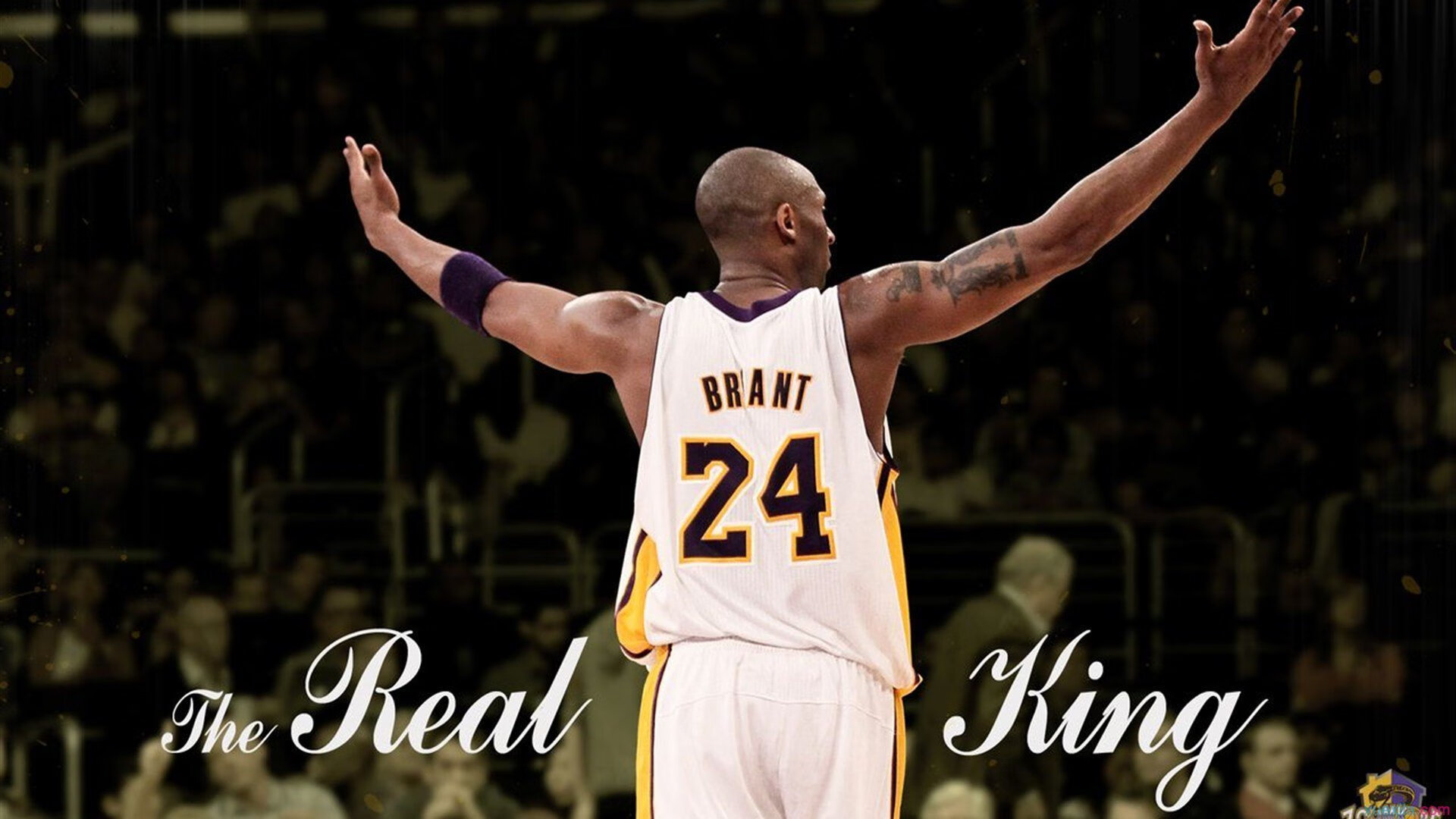 AC Milan官方APP下载-唐纳德·高尔在比赛中展现超凡个人能力，赢得观众赞誉，唐纳德 古尔德